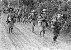 中国远征军在线观看